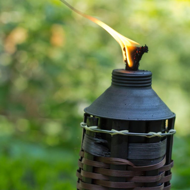 Absolute Aromas Citronella Essential Oil