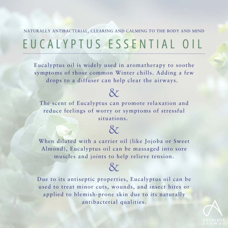 Absolute Aromas Eucalyptus Globulus Essential Oil