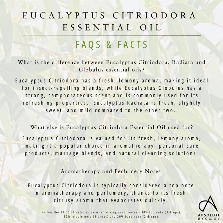 Absolute Aromas Eucalyptus Citriodora Essential Oil