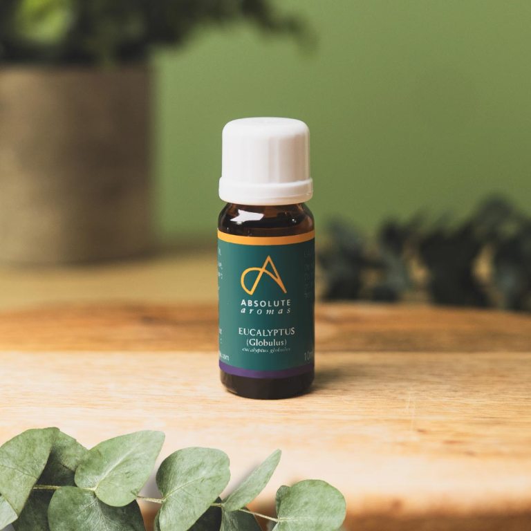 Absolute Aromas Eucalyptus Globulus Essential Oil