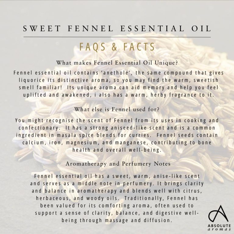 Absolute Aromas Fennel, Sweet Essential Oil
