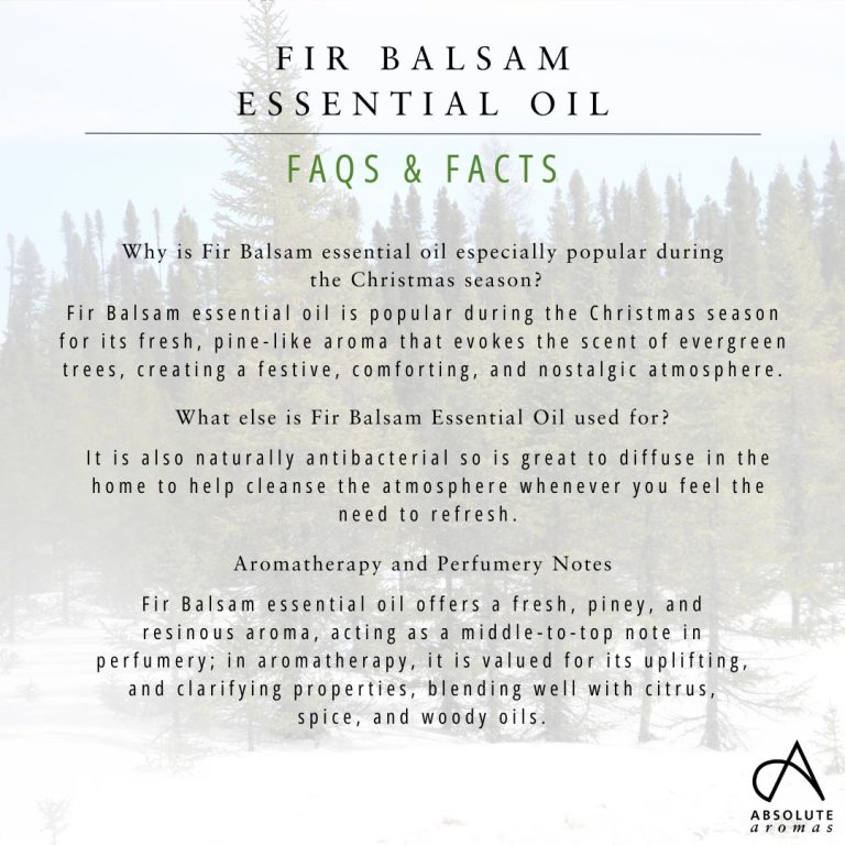 Absolute Aromas Fir Balsam Essential Oil