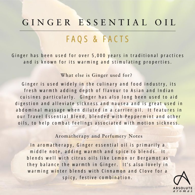 Absolute Aromas Ginger Essential Oil