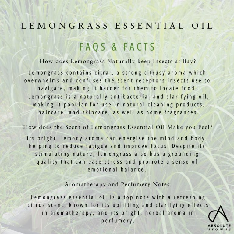 Absolute Aromas Lemongrass Essential Oil