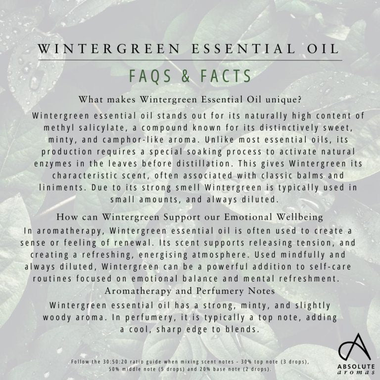 Absolute Aromas Wintergreen Essential Oil