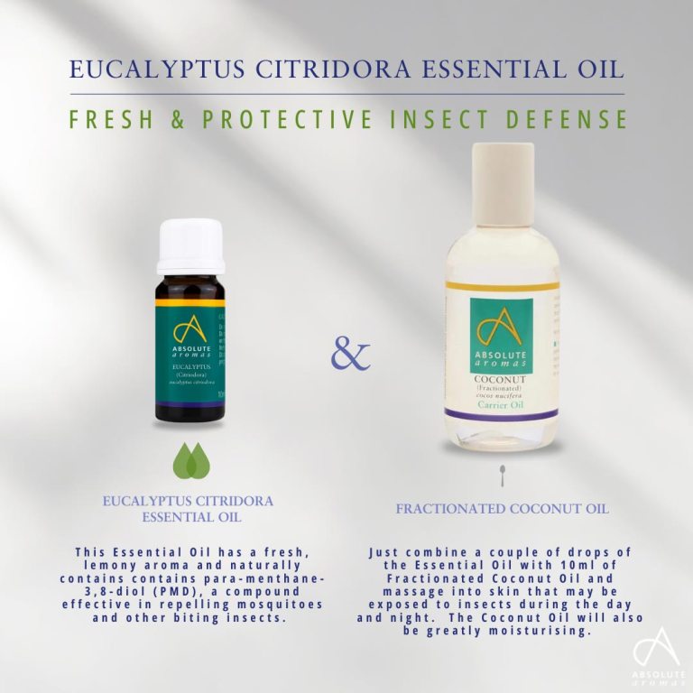 Absolute Aromas Eucalyptus Citriodora Essential Oil