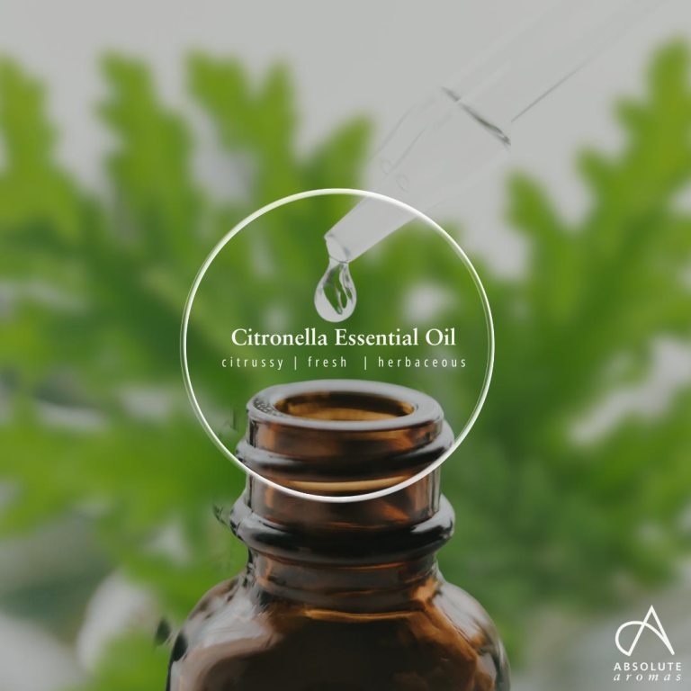 Absolute Aromas Citronella Essential Oil