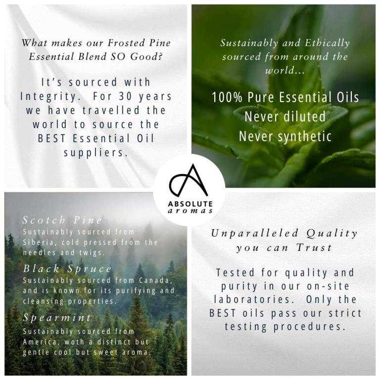 Absolute Aromas Frosted Forest Aromatherapy Blend