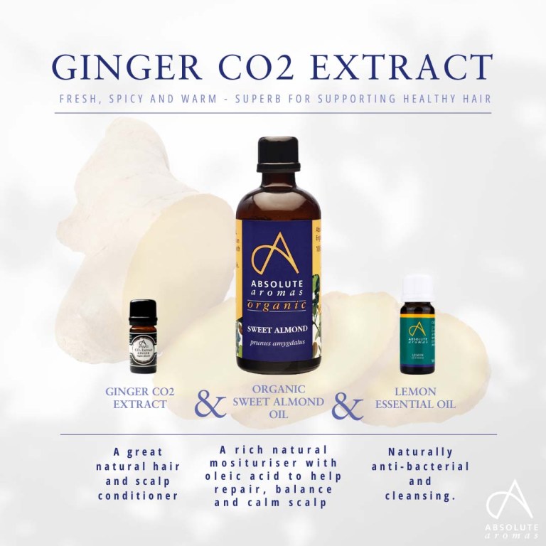 Absolute Aromas Ginger CO2 Extract