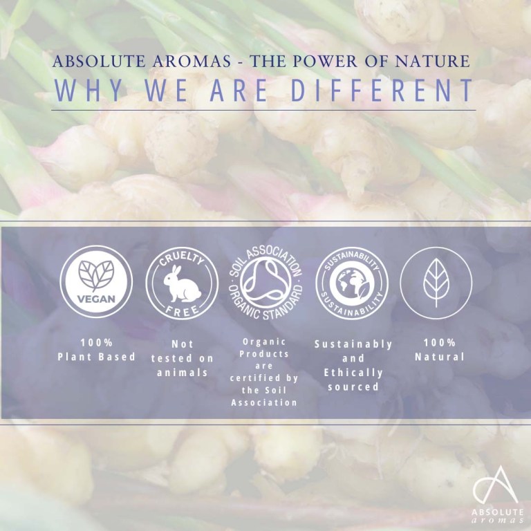 Absolute Aromas Ginger CO2 Extract