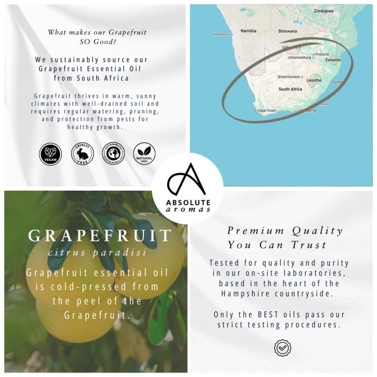 Absolute Aromas Grapefruit Essential Oil
