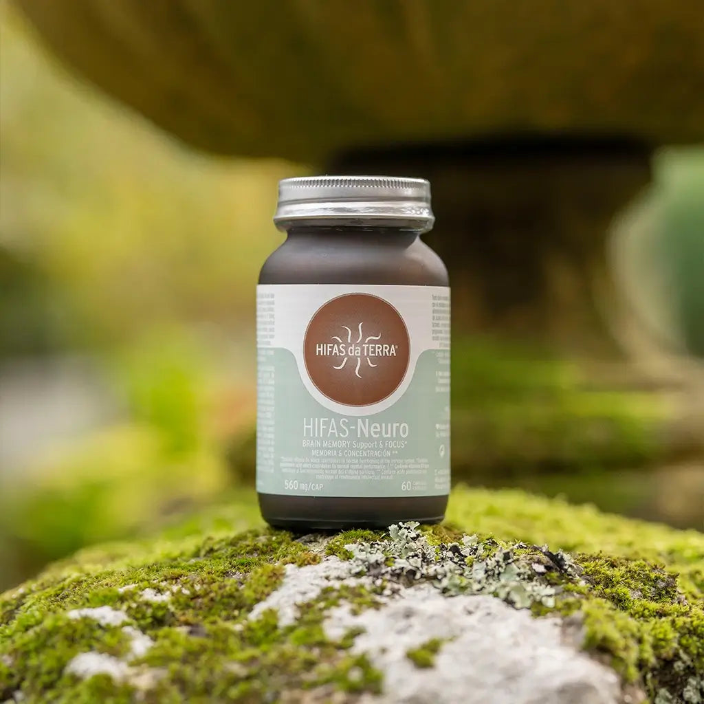 Hifas Da Terra Hifas-Neuro Memory and Concentration