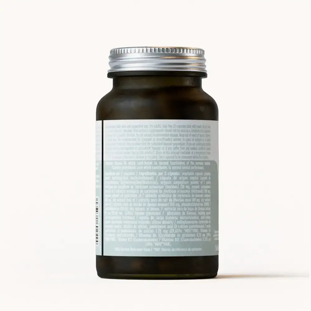 Hifas Da Terra Hifas-Neuro Memory and Concentration
