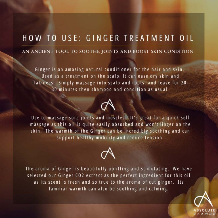 Absolute Aromas Ginger Treatment Oil