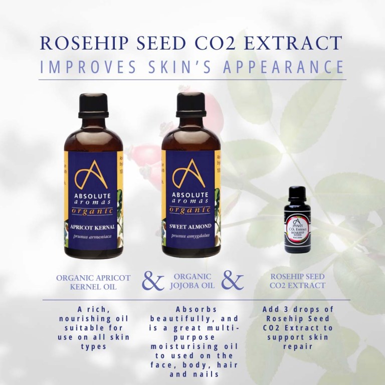 Absolute Aromas Rosehip Seed CO2 Extract