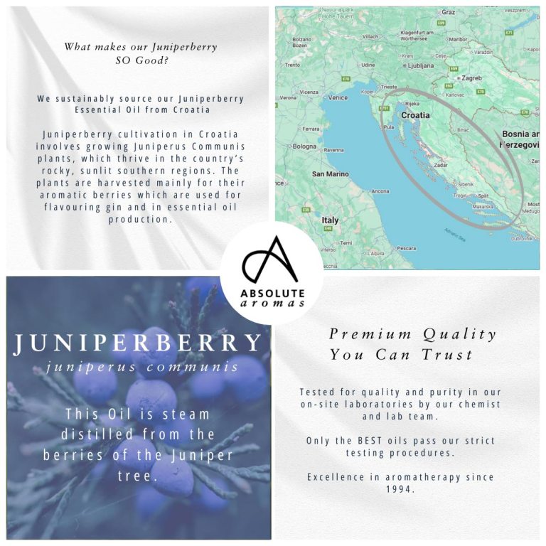 Absolute Aromas Juniperberry Essential Oil