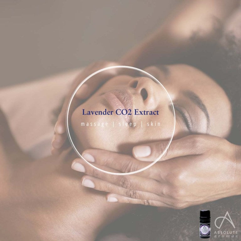 Absolute Aromas Lavender CO2 Extract