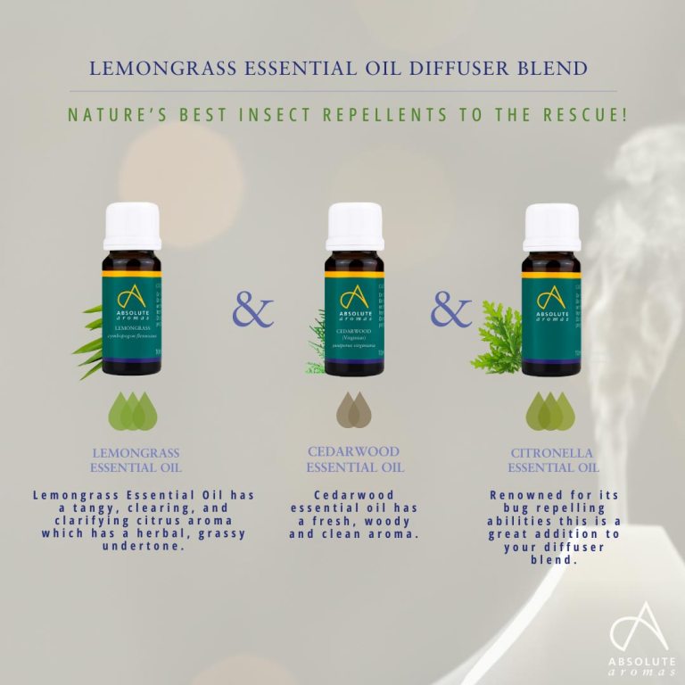 Absolute Aromas Lemongrass Essential Oil