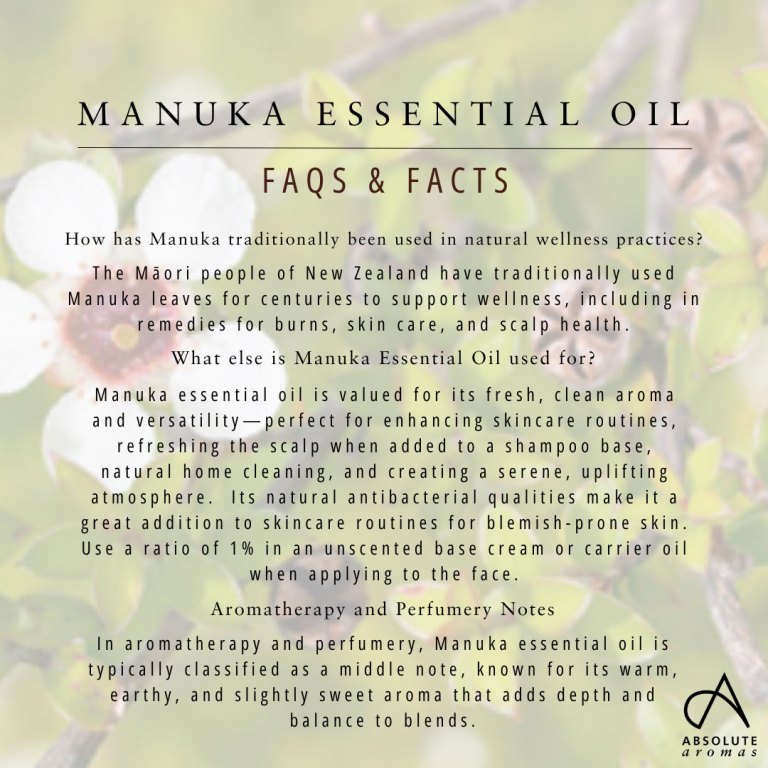 Absolute Aromas Manuka Essential Oil