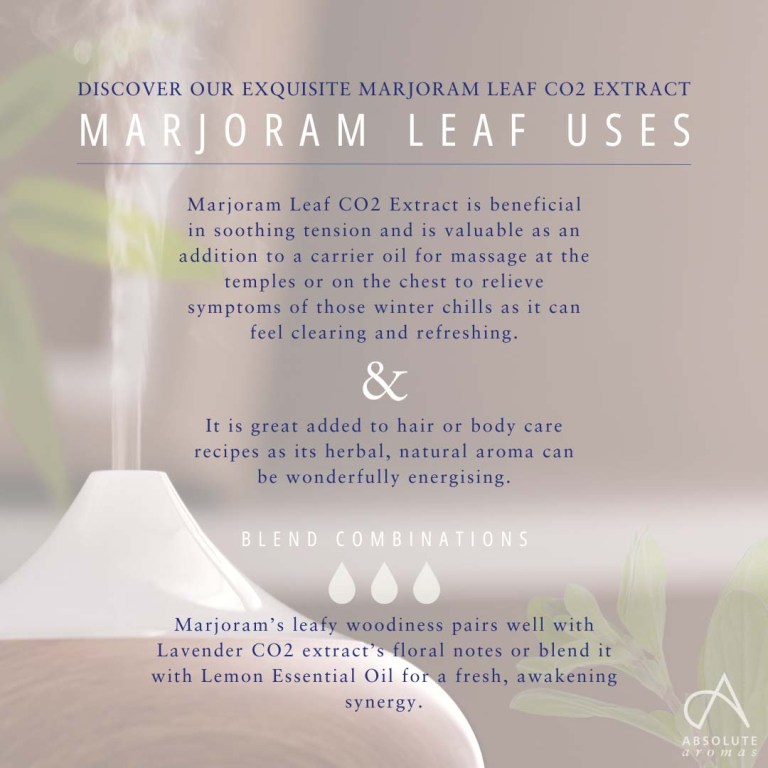 Absolute Aromas Marjoram Leaf CO2 Extract