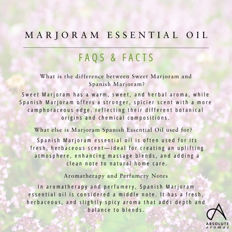 Absolute Aromas Marjoram Spanish