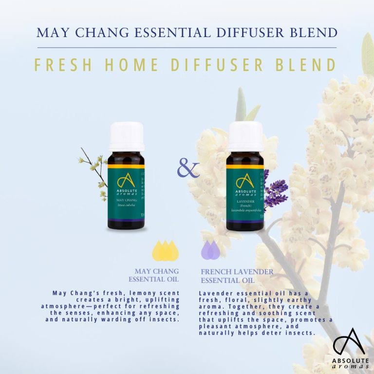 Absolute Aromas May Chang Essential Oil