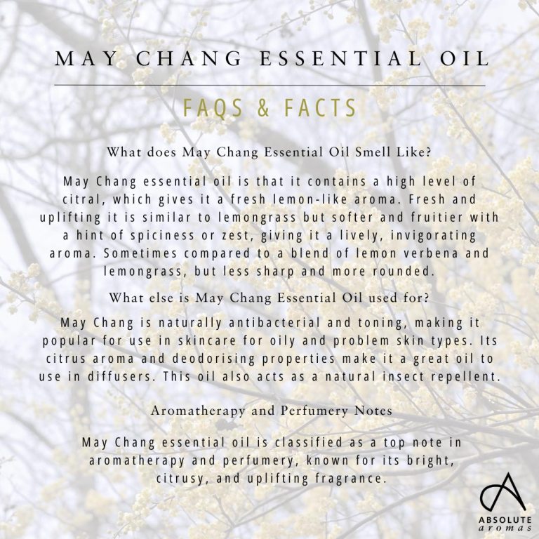 Absolute Aromas May Chang Essential Oil