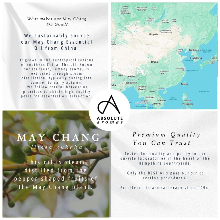 Absolute Aromas May Chang Essential Oil