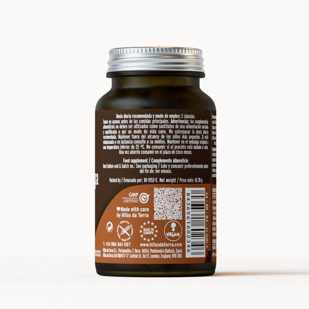 Hifas Da Terra Mico-Chaga Pure Organic