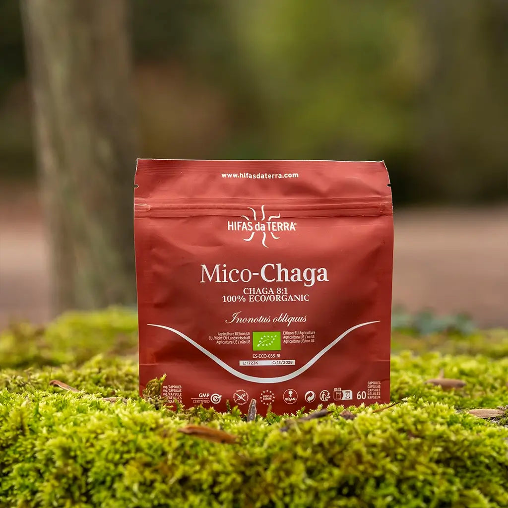 Hifas Da Terra Mico-Chaga Pure Organic