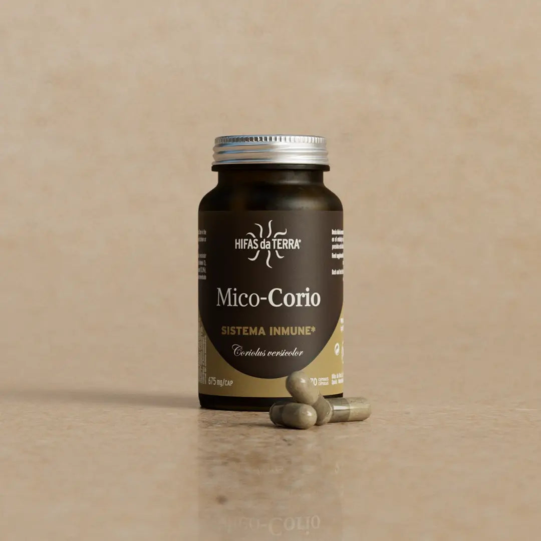 Hifas Da Terra Mico-Corio