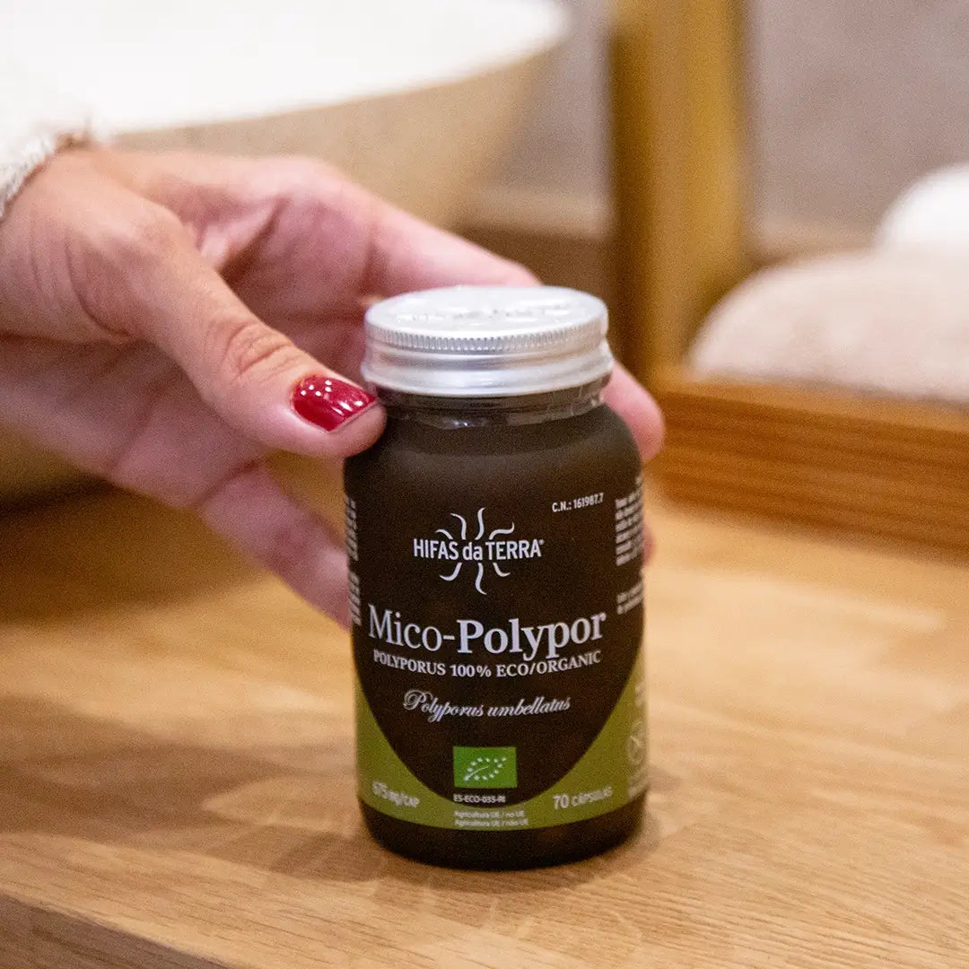 Polypor Hifas Da Terra Mico-Polypor Pure Organic Polyporus – Health & More Ltd