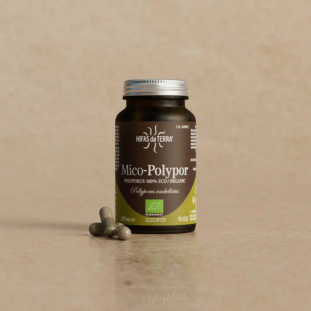 Polypor Hifas Da Terra Mico-Polypor Pure Organic Polyporus – Health & More Ltd