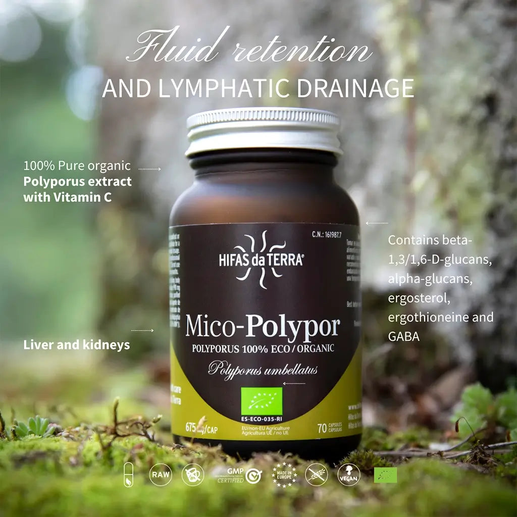 Hifas Da Terra Mico-Polypor Pure Organic Polyporus