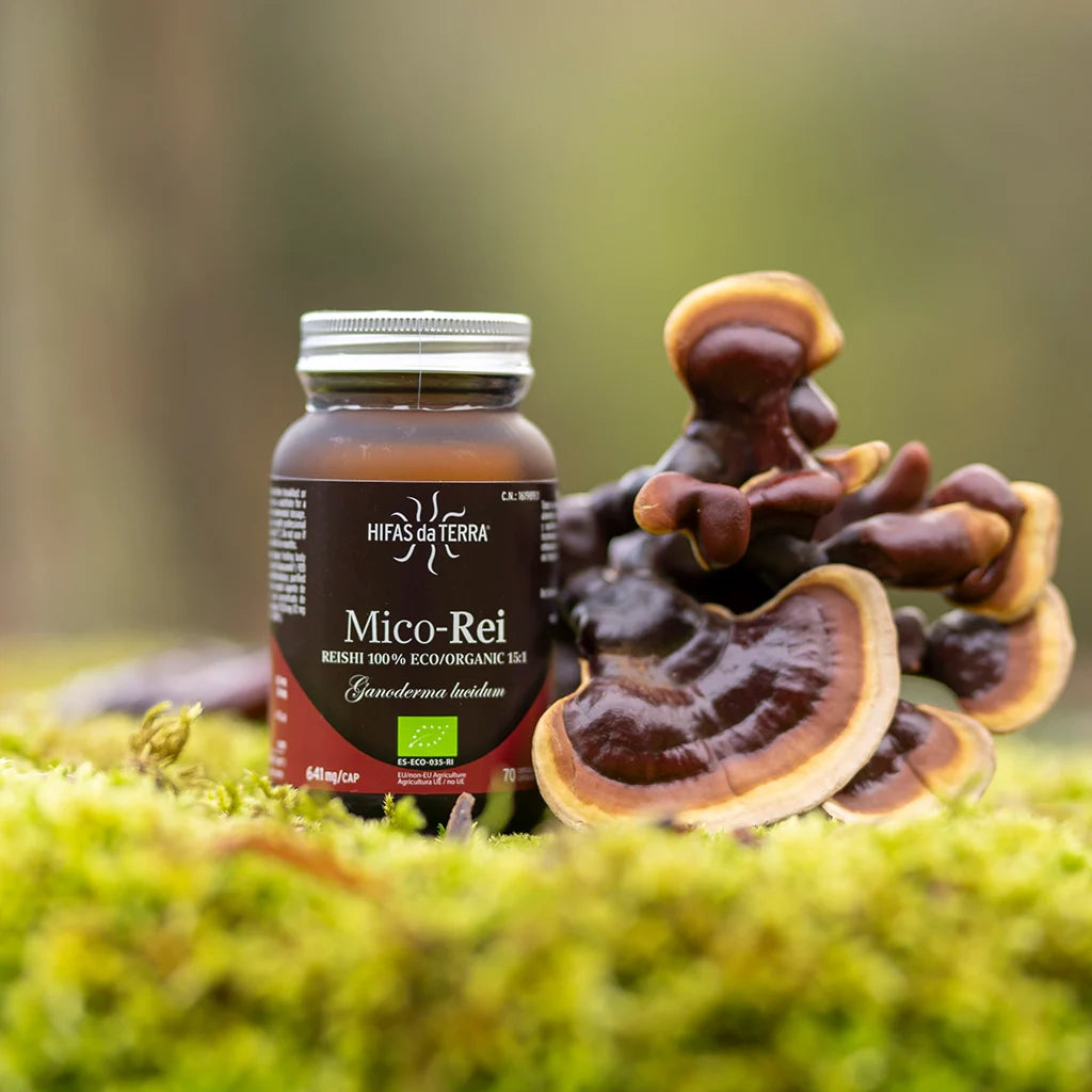 Hifas Da Terra Mico-Rei Pure Organic Extract of Reishi