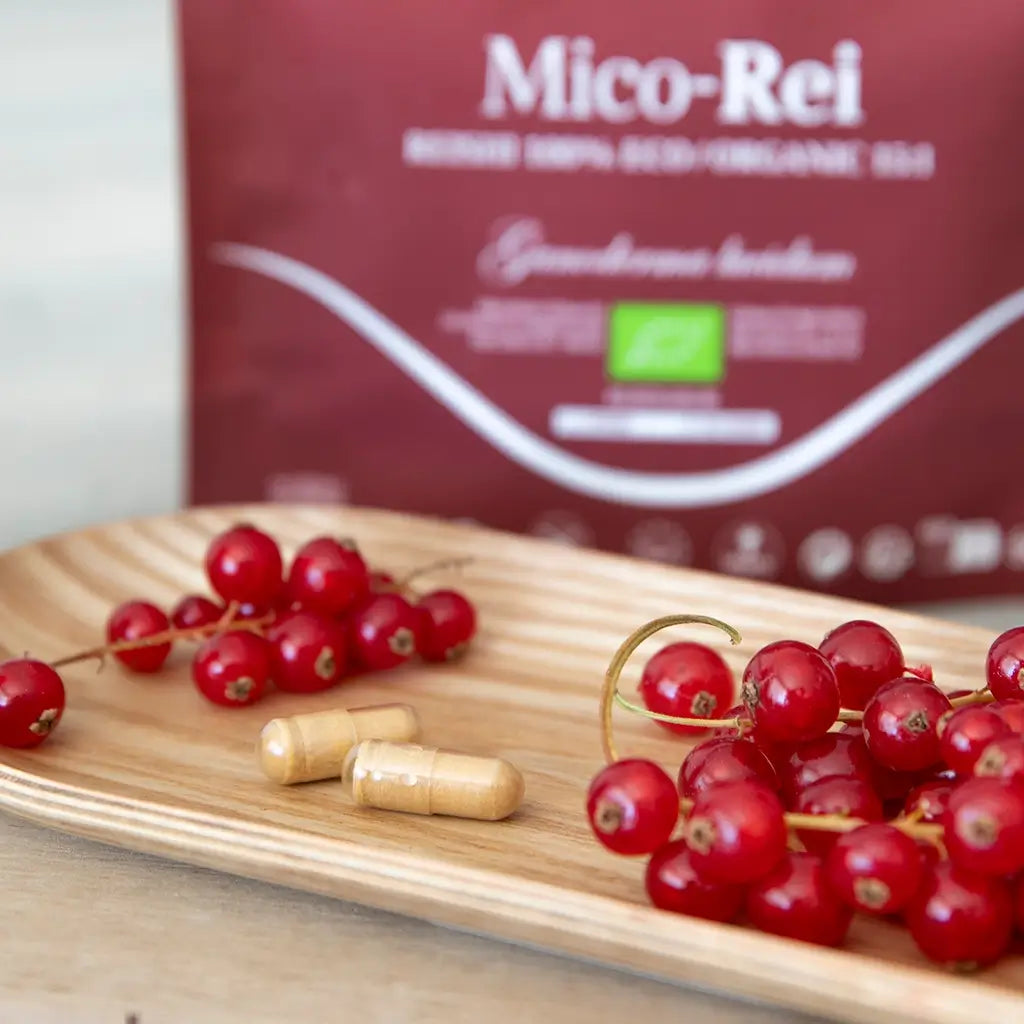 Hifas Da Terra Mico-Rei Pure Organic Extract of Reishi