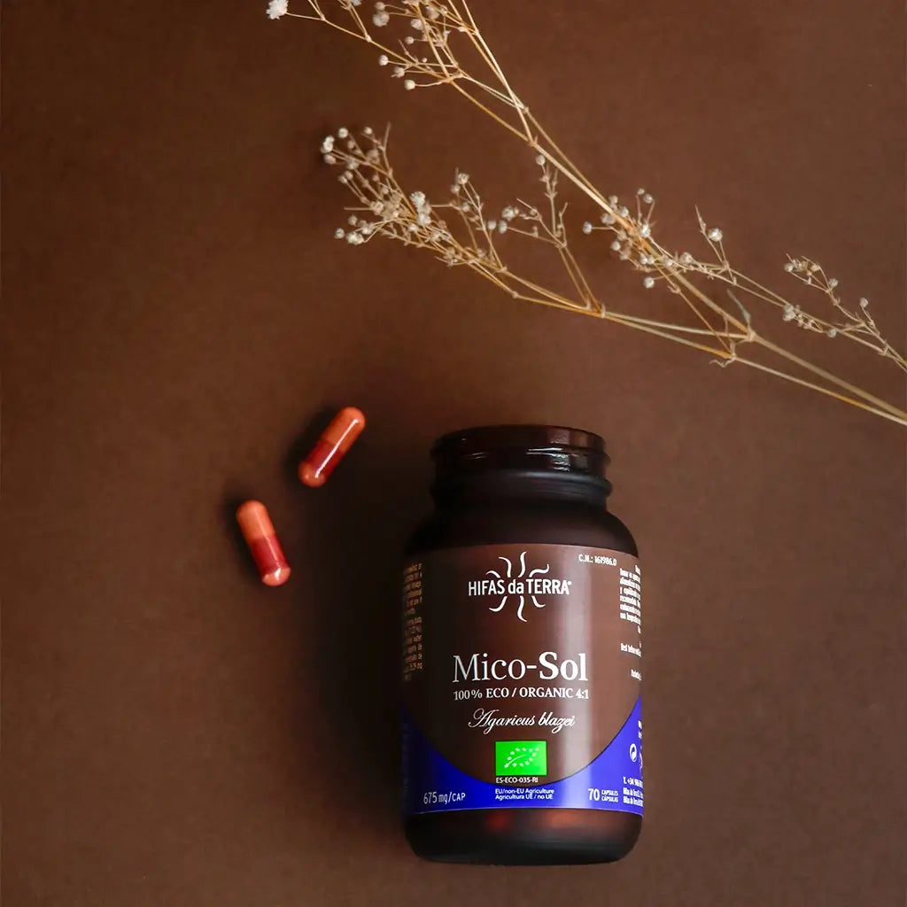 Hifas Da Terra Mico-Sol Sun Mushroom Extract