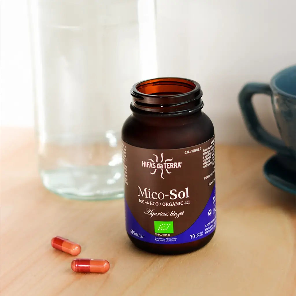 Hifas Da Terra Mico-Sol Sun Mushroom Extract