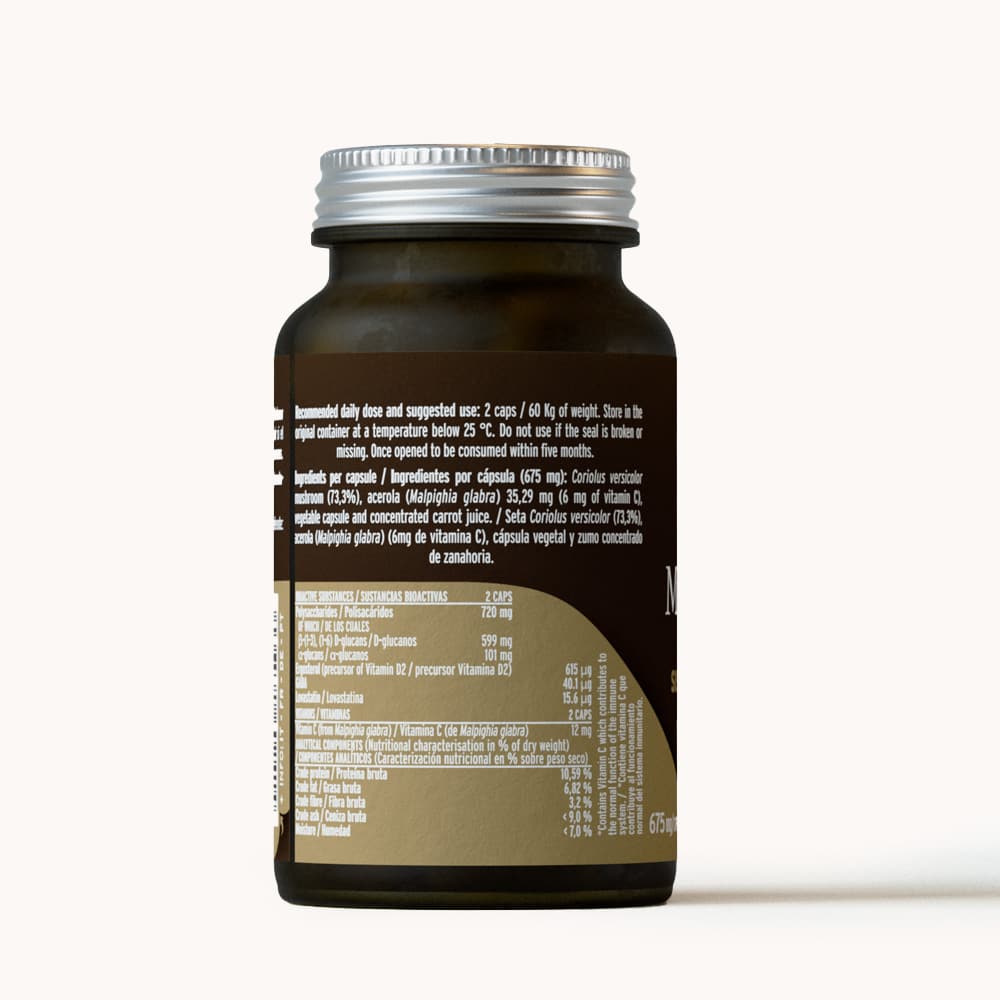 Hifas Da Terra Mico-Corio