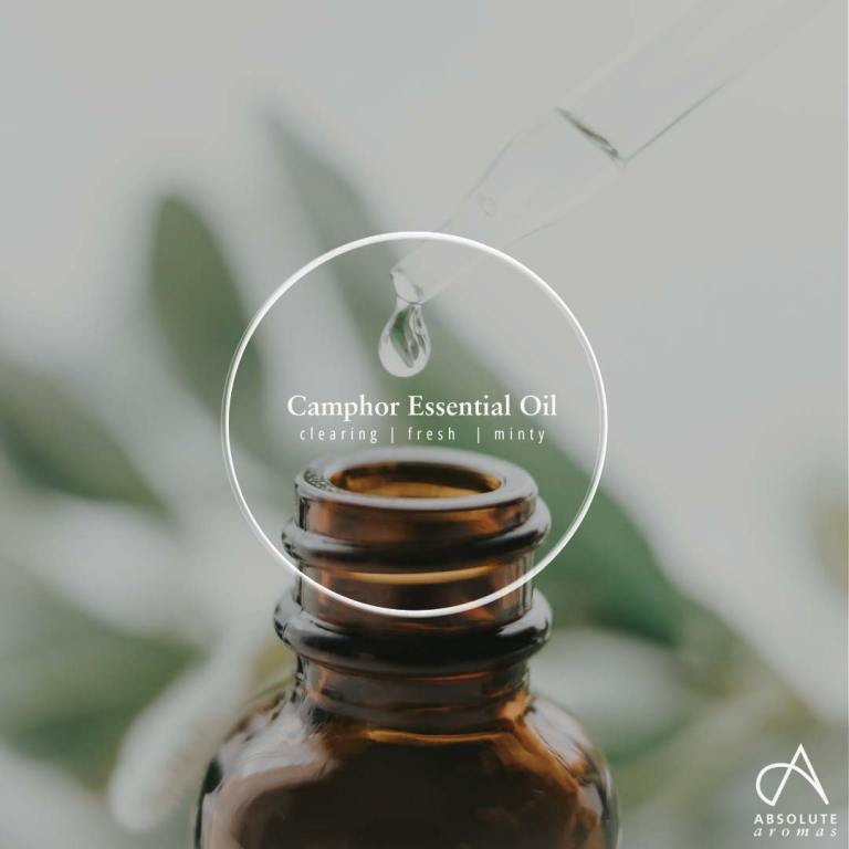 Absolute Aromas Camphor Essential Oil