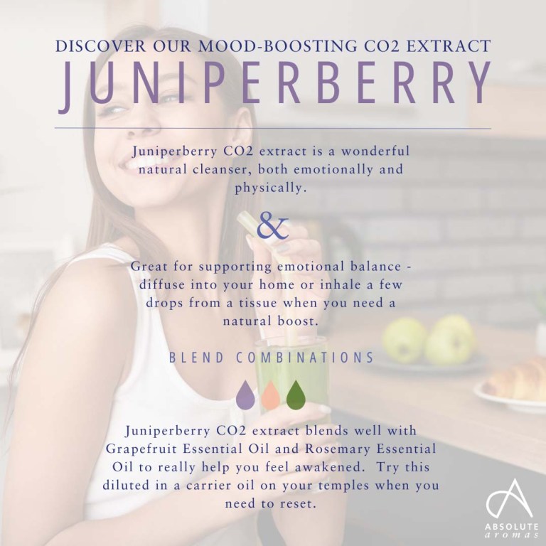 Absolute Aromas Juniperberry CO2 Extract