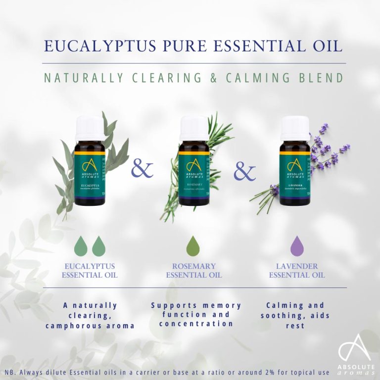 Absolute Aromas Eucalyptus Globulus Essential Oil