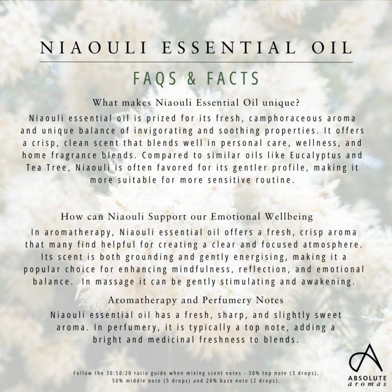 Absolute Aromas Niaouli Essential Oil