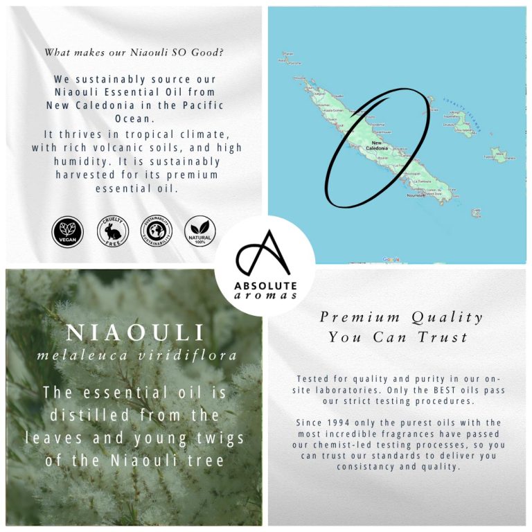 Absolute Aromas Niaouli Essential Oil