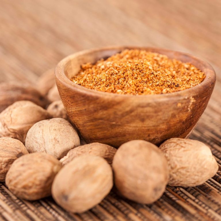 Absolute Aromas Nutmeg Essential Oil