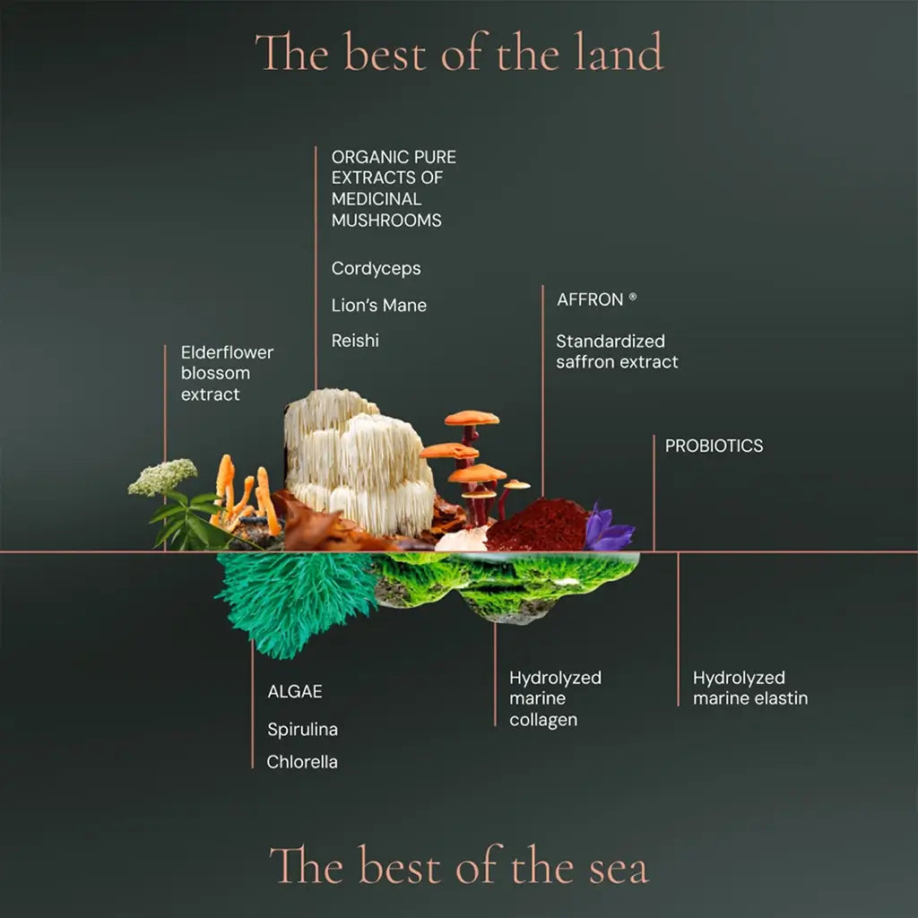 Hifas Da Terra Optimum Nutricosmetic