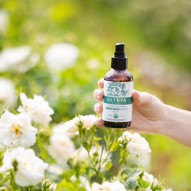 Alteya Organics Organic Bulgarian White Rose Water (Rosa Alba) 120 ml - Amber Glass Spray Bottle