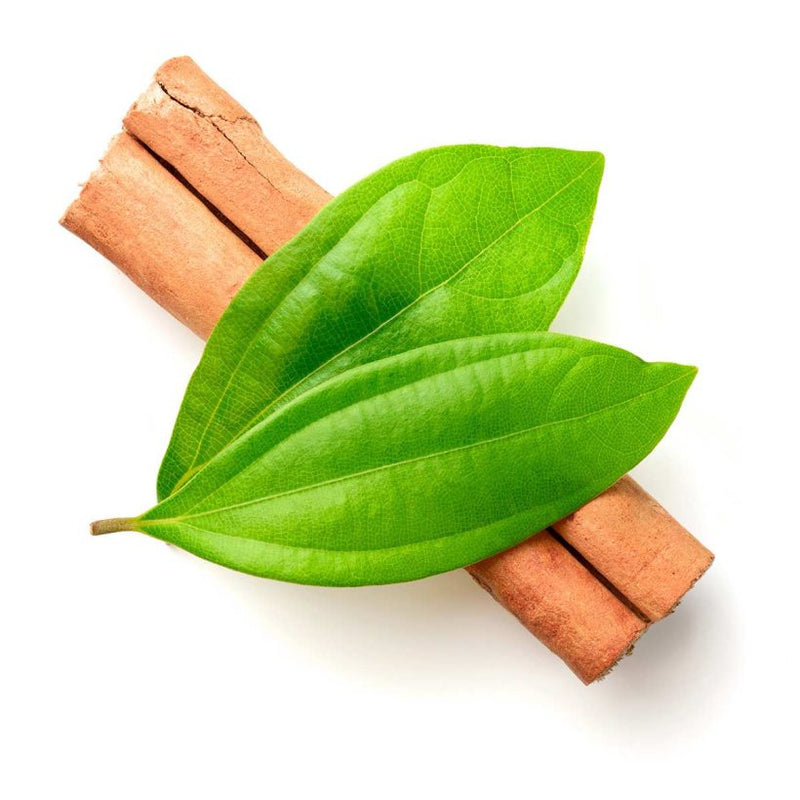 Alteya Organics Certified Organic Cinnamon Leaf Oil