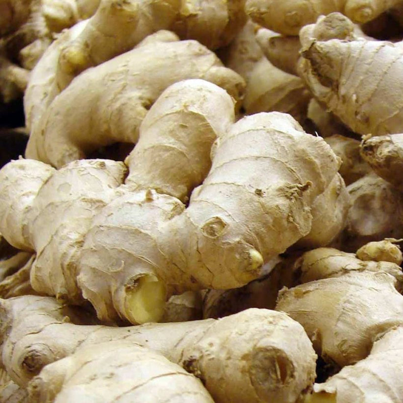 Alteya Organics Certified Organic Ginger Oil