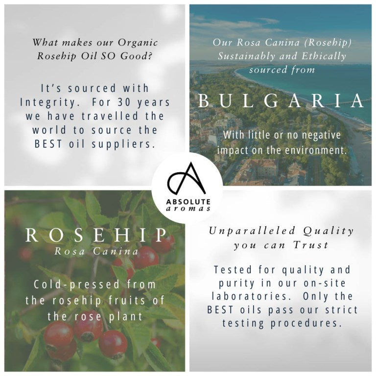 Absolute Aromas Organic Rosehip